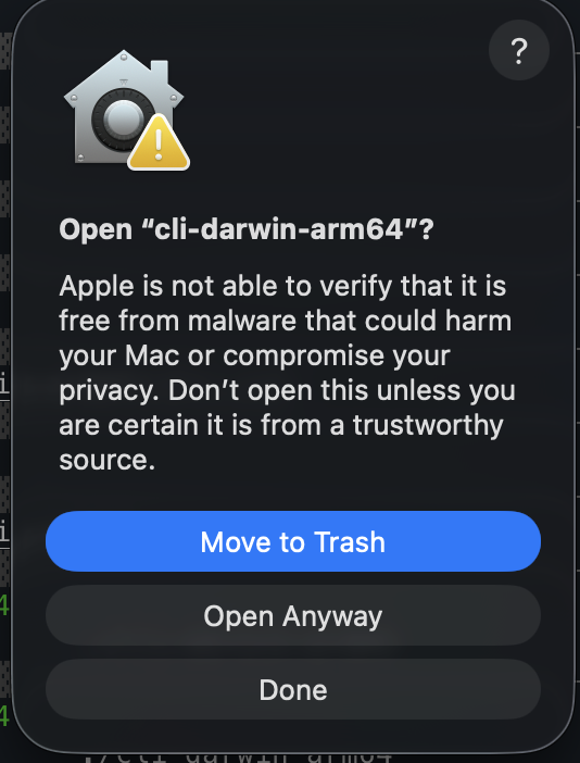 macOS Open Anyway button